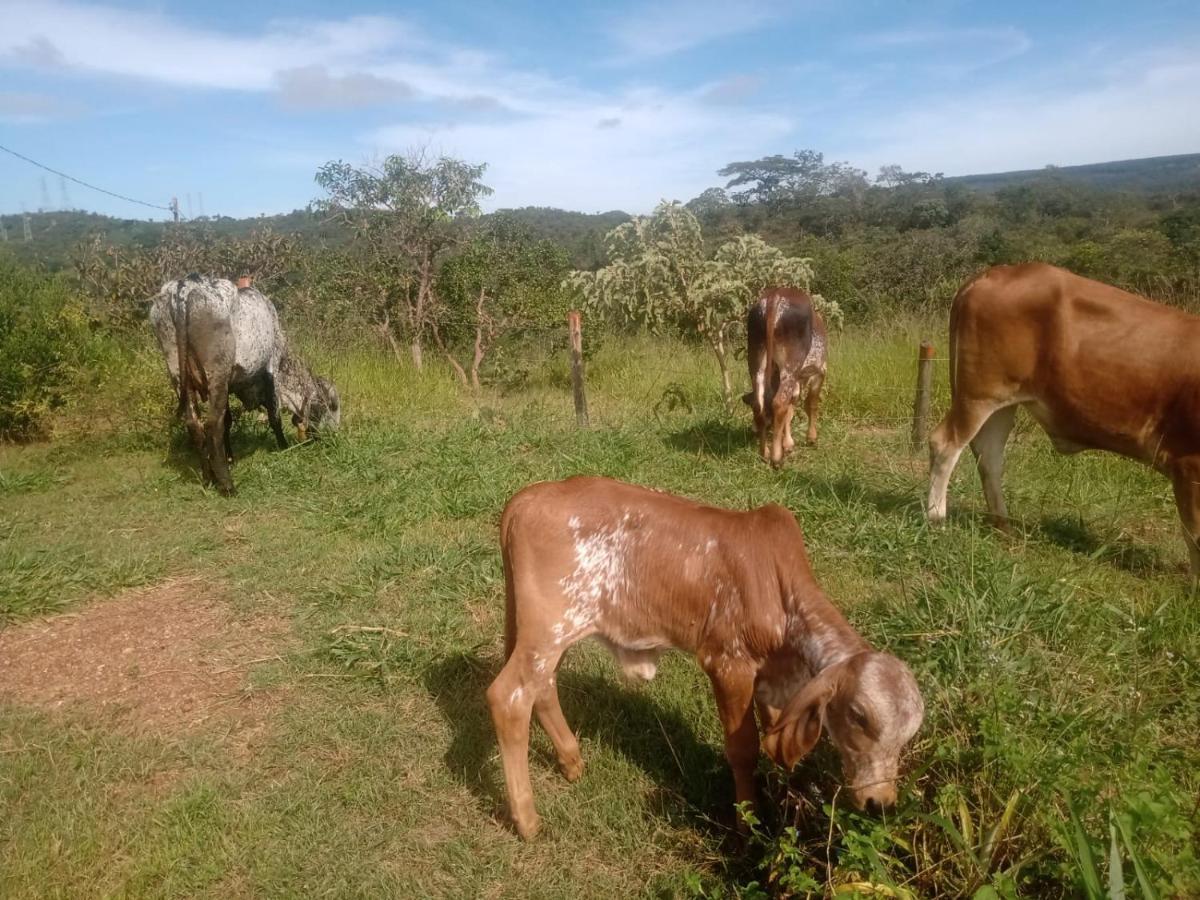 Chale Aconchegante, Pertinho Da Cidade E Conectada A Natureza Brasília Exteriör bild